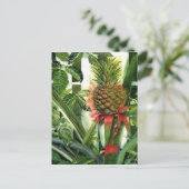 Ananas in het Oerwoud Briefkaart (Staand voorkant)