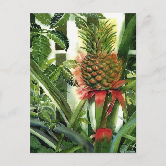 Ananas in het Oerwoud Briefkaart (Voorkant)