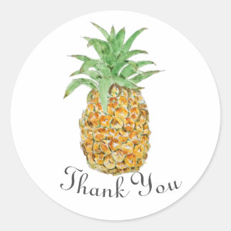 ananas klassieke ronde sticker