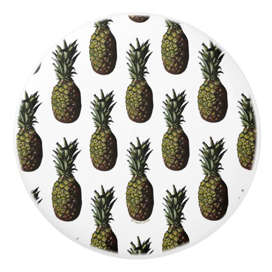 Ananas Knobs Keramische Knop (Voorkant)