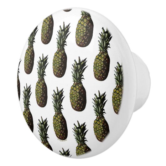 Ananas Knobs Keramische Knop (Rechts)