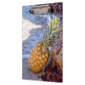 Ananas Leaning op Rocks bij het strand Klembord (Links)