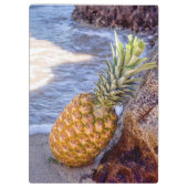 Ananas Leaning op Rocks bij het strand Klembord (Achterkant)