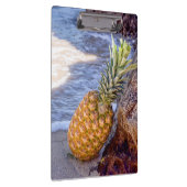 Ananas Leaning op Rocks bij het strand Klembord (Rechts)