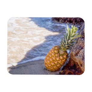 Ananas Leaning op Rocks bij het strand Magneet