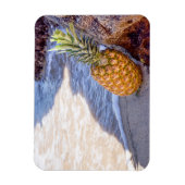 Ananas Leaning op Rocks bij het strand Magneet (Verticaal)