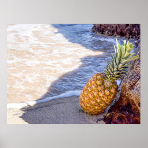 Ananas Leaning op Rocks bij het strand Poster