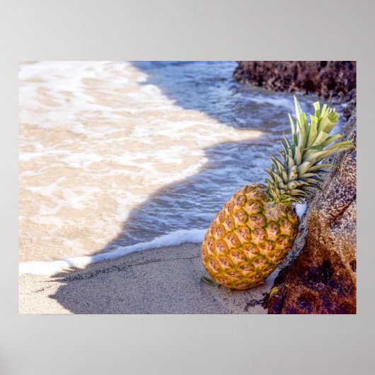 Ananas Leaning op Rocks bij het strand Poster (Voorkant)