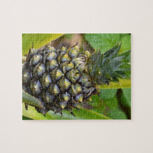 ananas legpuzzel (Horizontaal)