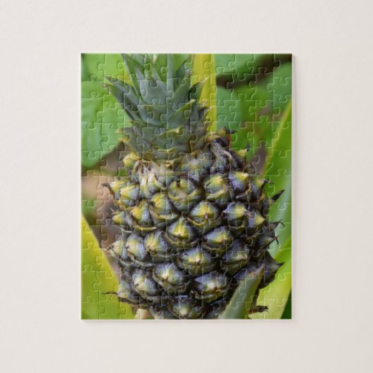 ananas legpuzzel (Verticaal)