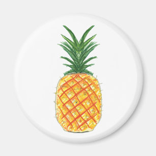 ananas magneet