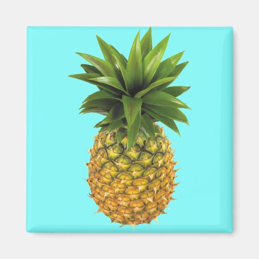 ananas magneet (Voorkant)