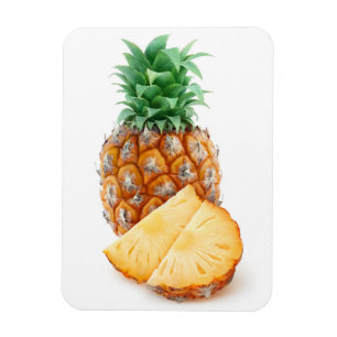 ananas magneet
