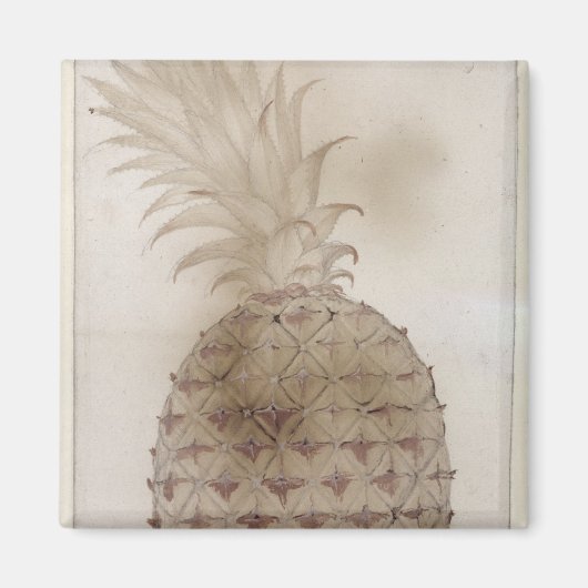 ananas, magneet (Voorkant)