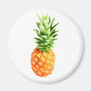 ananas magneet
