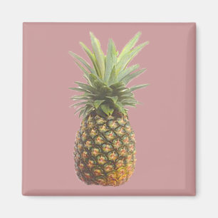 ananas magneet
