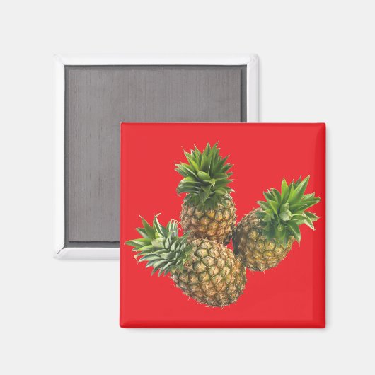 ananas magneet (Voorkant / Achterkant)