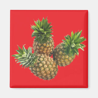 ananas magneet