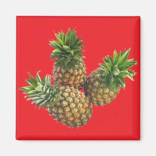 ananas magneet (Voorkant)