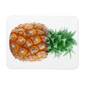 ananas magneet (Horizontaal)