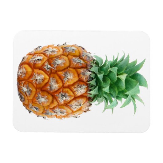 ananas magneet (Horizontaal)