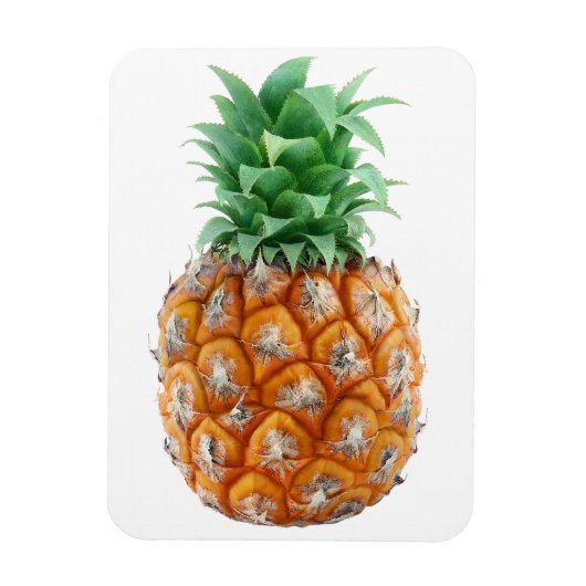 ananas magneet (Verticaal)