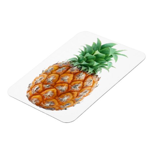ananas magneet (Linkerzijde)