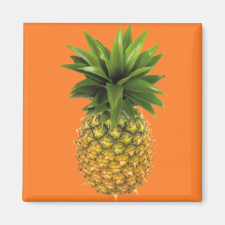 ananas magneet