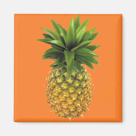 ananas magneet (Voorkant)