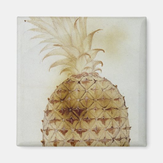 ananas magneet (Voorkant)