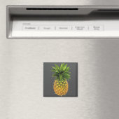 ananas magneet (Insitu (Vaatwasser))