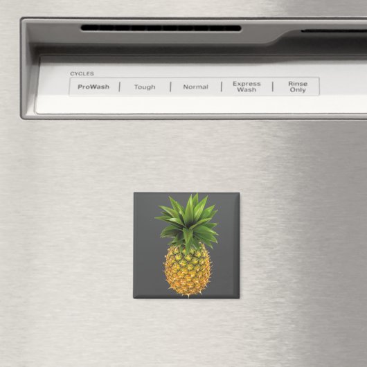 ananas magneet (Insitu (Vaatwasser))