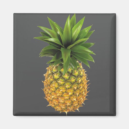 ananas magneet (Voorkant)