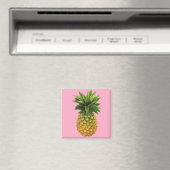 ananas magneet (Insitu (Vaatwasser))