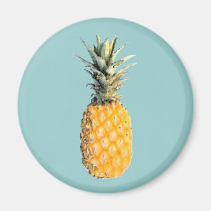 ananas magneet