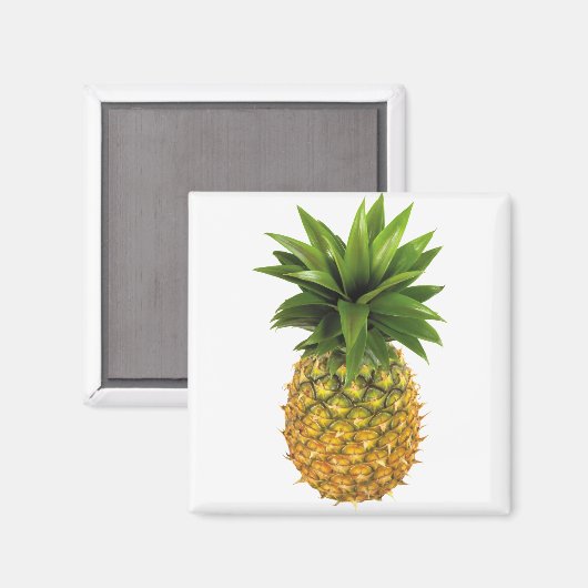 ananas magneet (Voorkant / Achterkant)