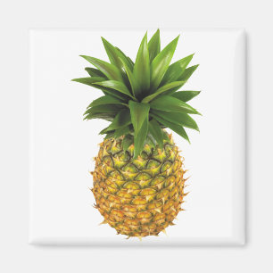 ananas magneet
