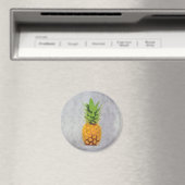 ananas magneet (Insitu (Vaatwasser))