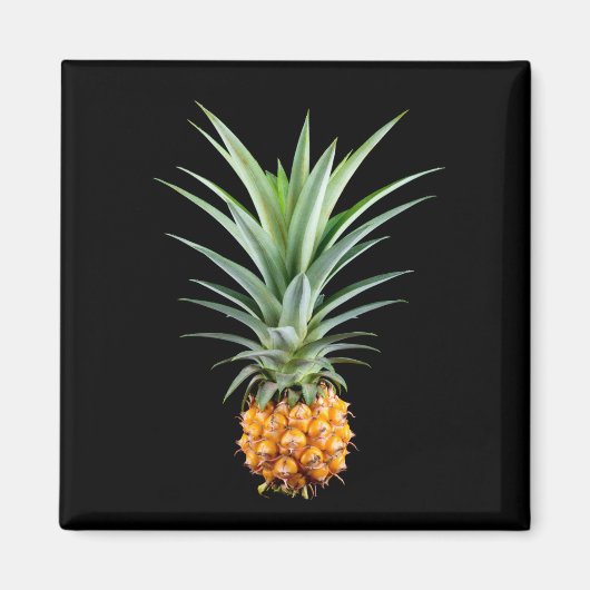 Ananas met groot haar op zwarte achtergrond magneet (Voorkant)