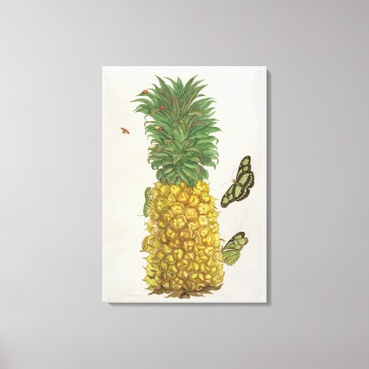 ananas met rupsbanden en vlinders (hand-c) canvas afdruk (Voorkant)