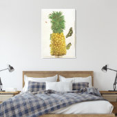 ananas met rupsbanden en vlinders (hand-c) canvas afdruk (Insitu (Slaapkamer))