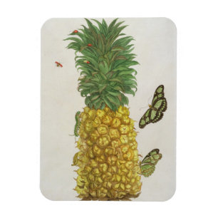 ananas met rupsbanden en vlinders (hand-c) magneet