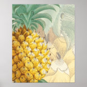 Ananas met uitbreiding poster (Voorkant)