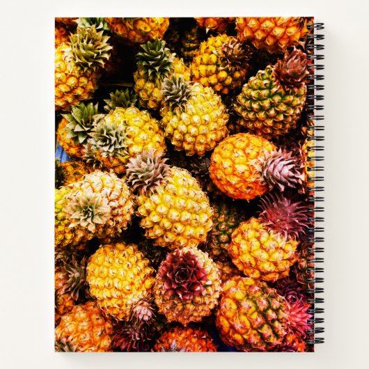 ananas notitieboek (Achterkant)