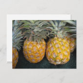 ananas Paradise Briefkaart (Voorkant / Achterkant)