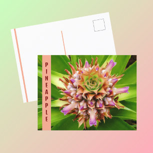 Ananas Plant Botanische Fotografische Briefkaart