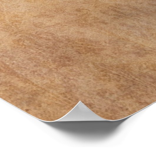 Ananas Poster (Hoek)