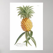 ananas poster (Voorkant)