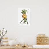 ananas poster (Keuken)