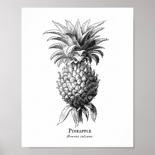 ananas poster (Voorkant)